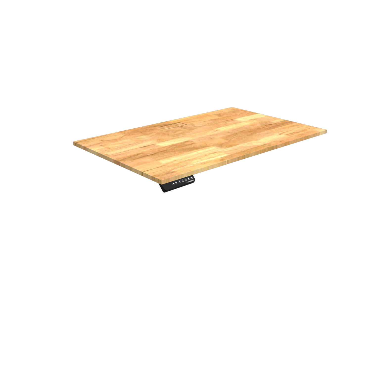 Pro Wildwood - Image 11